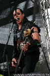 The Misfits