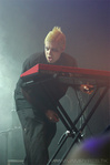 IMG_6220.jpg