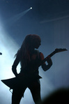 Cat Rapes Dog - WGT 2006